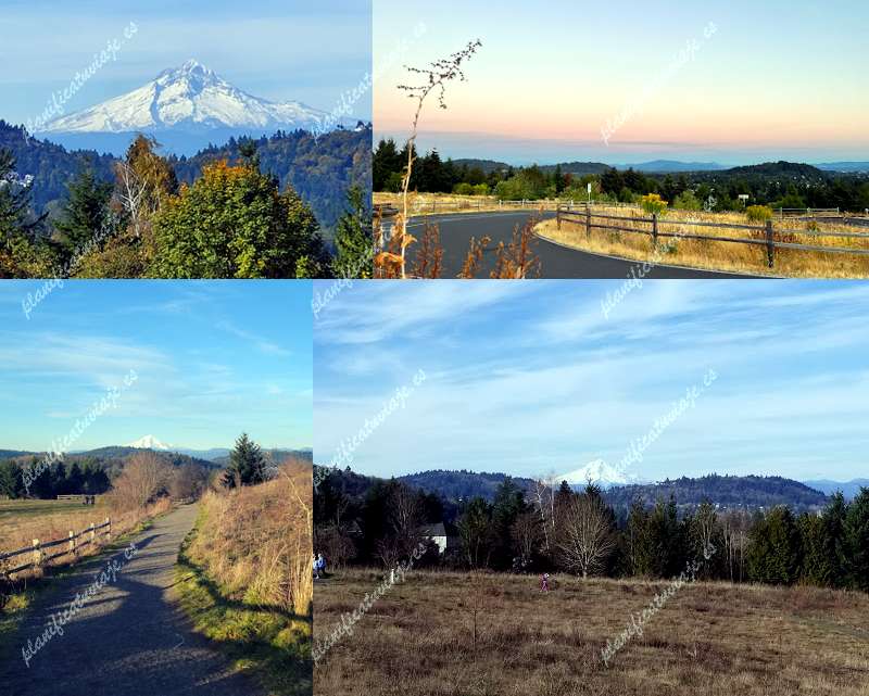 Powell Butte Nature Park de Portland | Horario, Mapa y entradas