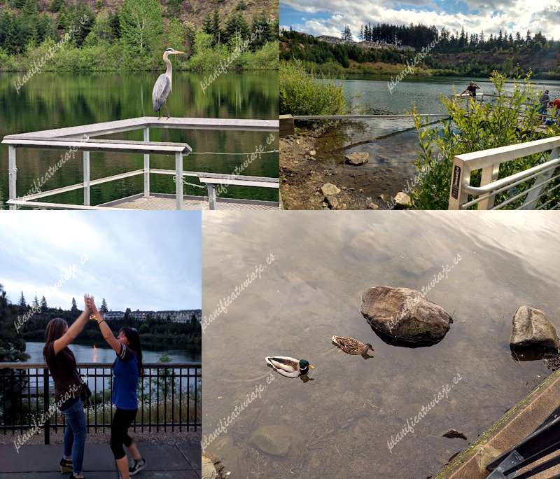 Progress Lake Park de Beaverton | Horario, Mapa y entradas