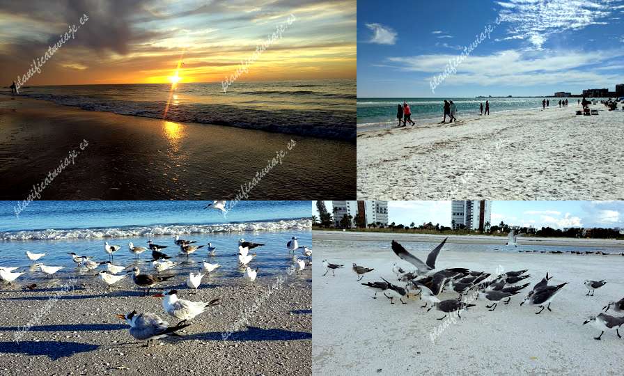 Public beach de Sarasota | Horario, Mapa y entradas
