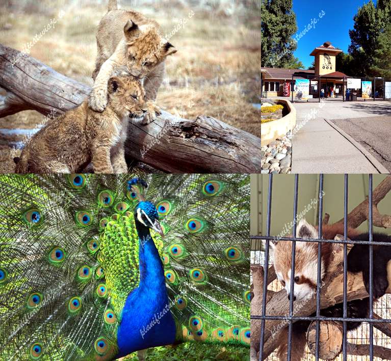 Zoo People de Pueblo | Horario, Mapa y entradas 11