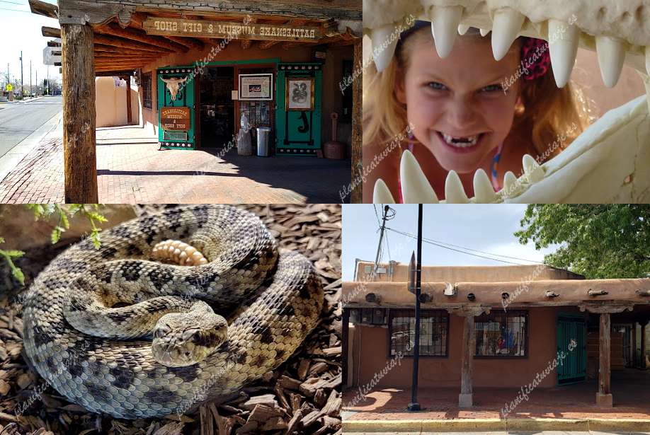 Rattlesnake Museum & Gift Shop de Albuquerque | Horario, Mapa y entradas