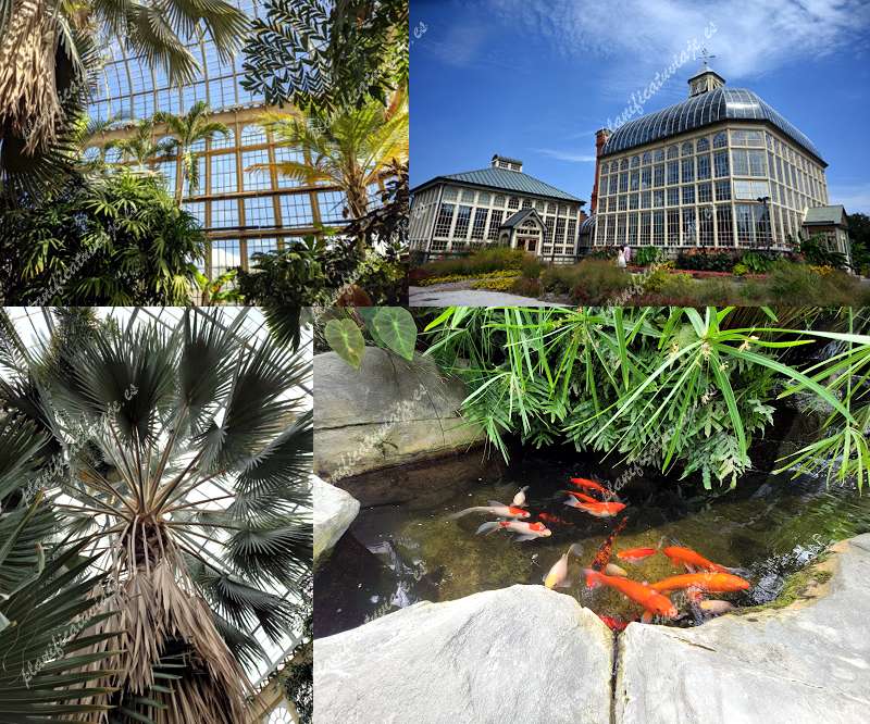 Rawlings Conservatory de Baltimore | Horario, Mapa y entradas 55