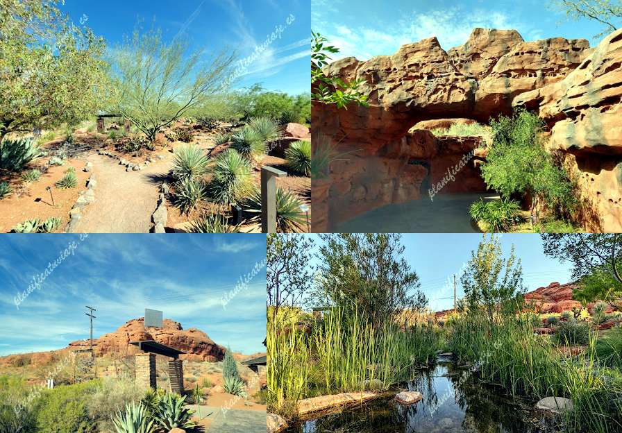 Red Hills Desert Garden de St. George | Horario, Mapa y entradas 2