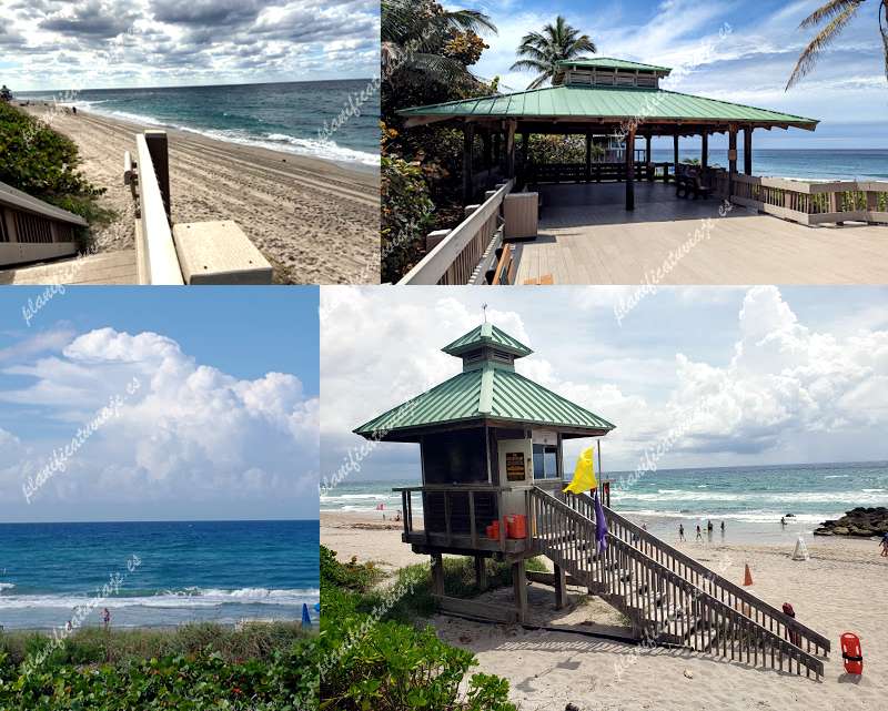 Red Reef Park de Boca Raton | Horario, Mapa y entradas
