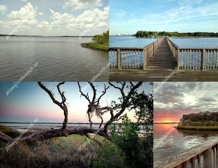 Reddie Point Preserve
