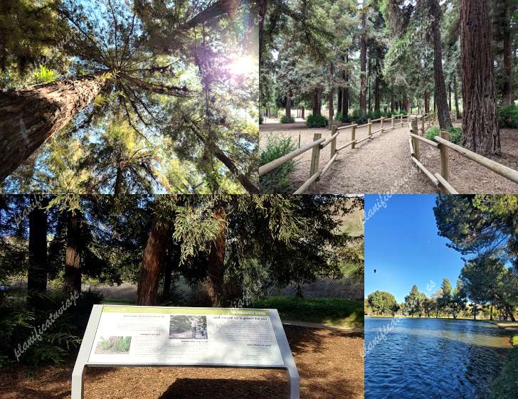 Redwood Grove de Yorba Linda | Horario, Mapa y entradas