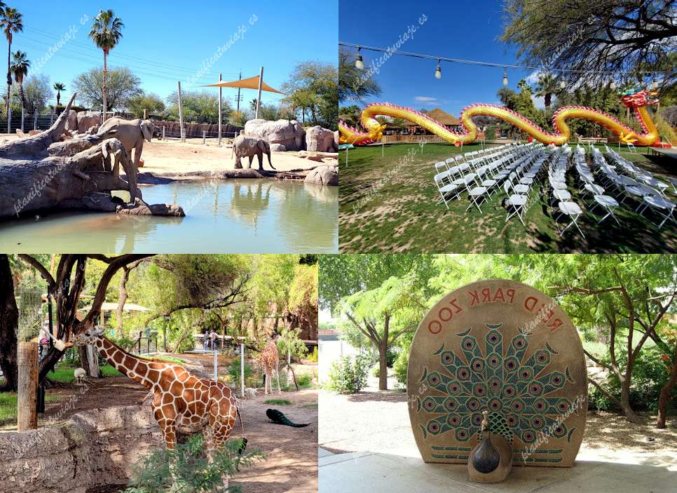 Reid Park Zoo de Tucson | Horario, Mapa y entradas