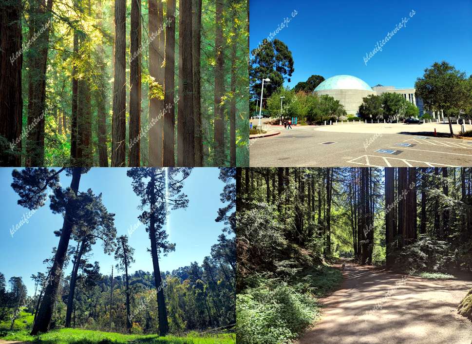 Reinhardt Redwood Regional Park de Oakland | Horario, Mapa y entradas