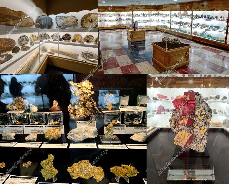 Rice Northwest Museum of Rocks & Minerals de Hillsboro | Horario, Mapa y entradas