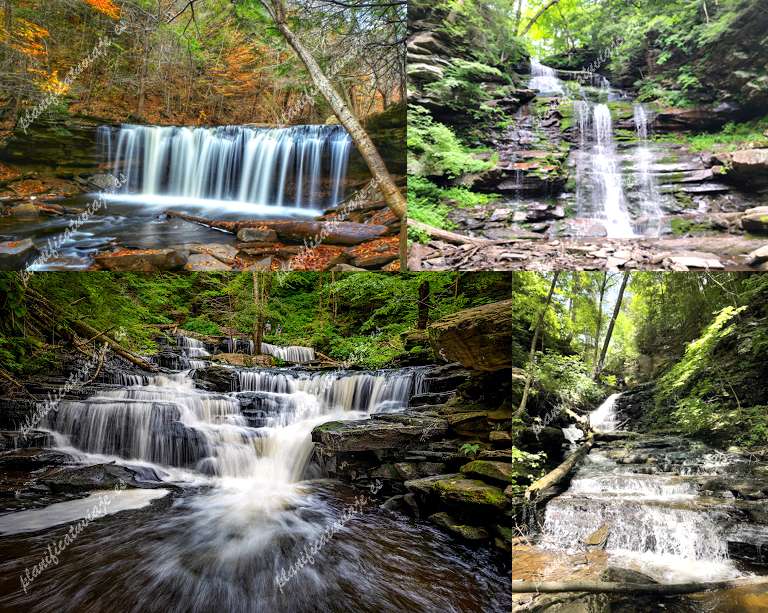 Ricketts Glen State Park de Benton | Horario, Mapa y entradas