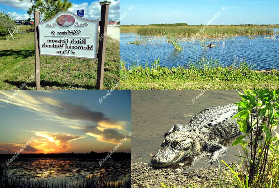 Ritch Grissom Memorial Wetlands de Viera | Horario, Mapa y entradas