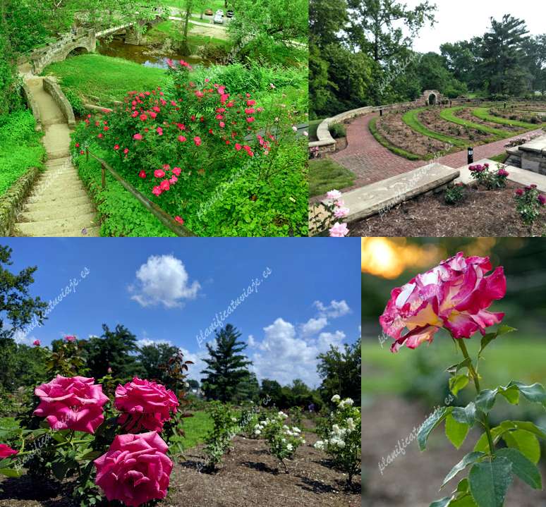 Ritter Park Rose Garden de Huntington | Horario, Mapa y entradas