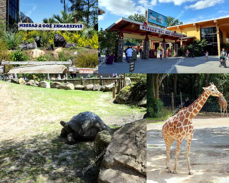 Riverbanks Zoo & Garden de Columbia | Horario, Mapa y entradas 2