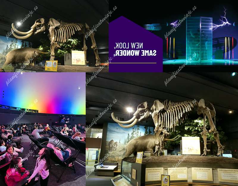 Rmsc (Rochester Museum & Science Center) de Rochester | Horario, Mapa y entradas