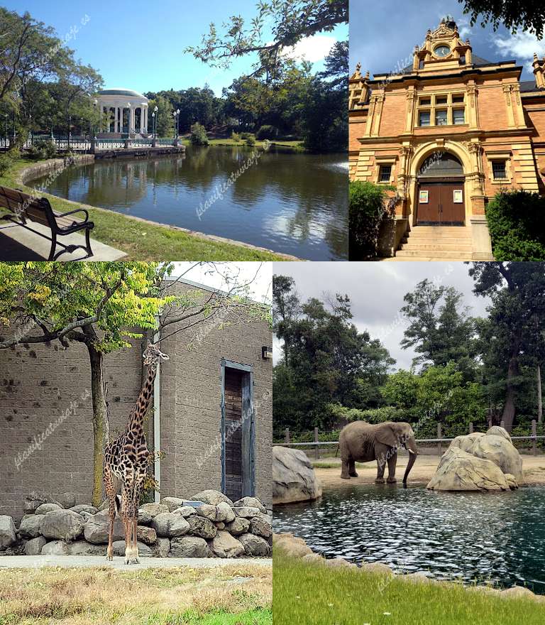Roger Williams Park Zoo de Providence | Horario, Mapa y entradas