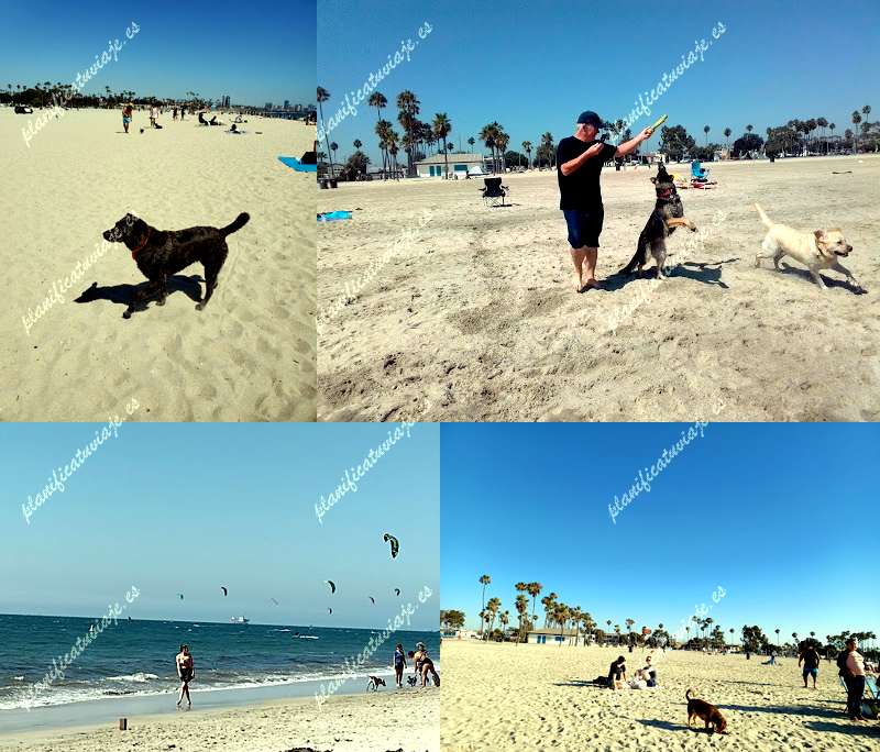 Dog Beach de Huntington Beach | Horario, Mapa y entradas