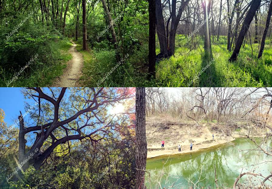 Rowlett Creek - Dallas County Nature Preserve de Garland | Horario, Mapa y entradas 10