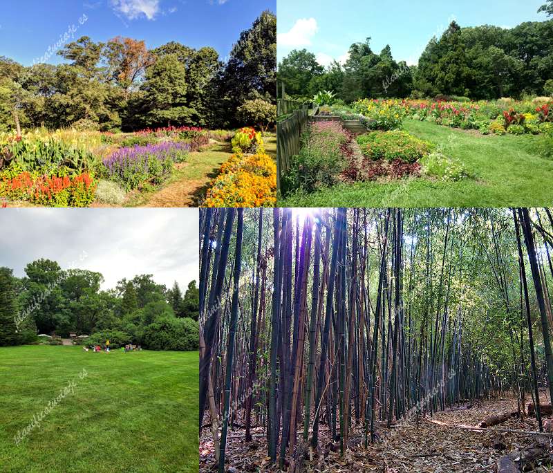 Rutgers Gardens de North Brunswick Township | Horario, Mapa y entradas