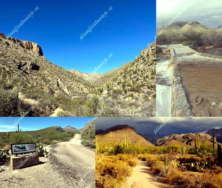 Sabino Canyon Recreation Area de Tucson | Horario, Mapa y entradas