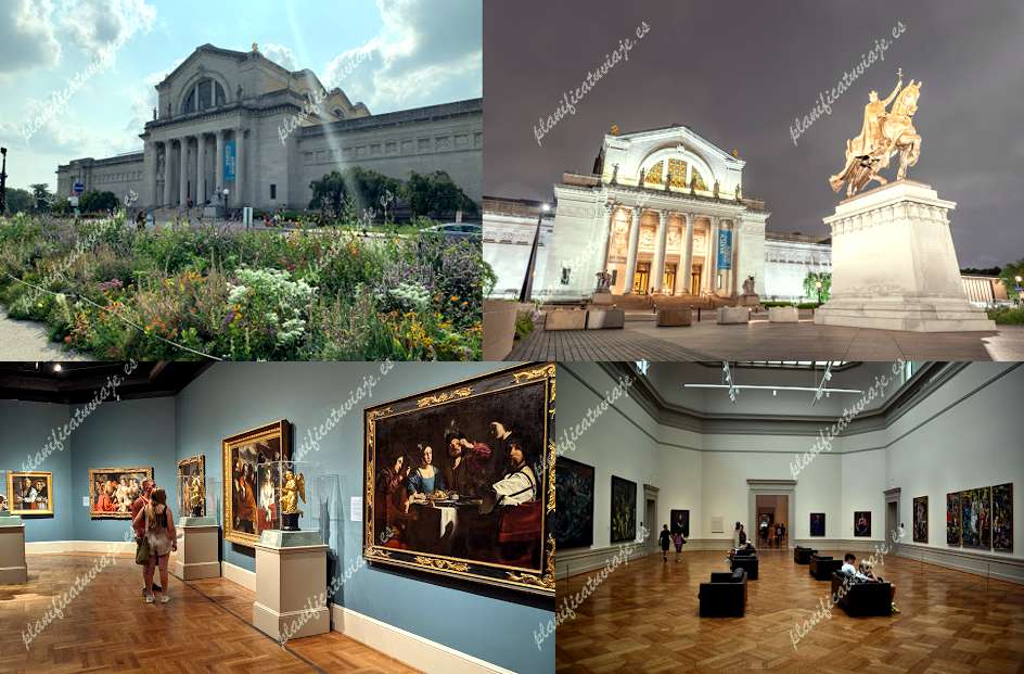 Saint Louis Art Museum de St. Louis | Horario, Mapa y entradas