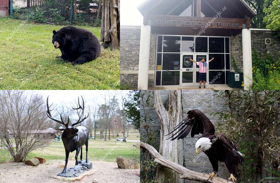 Salato Wildlife Center de Frankfort | Horario, Mapa y entradas 2