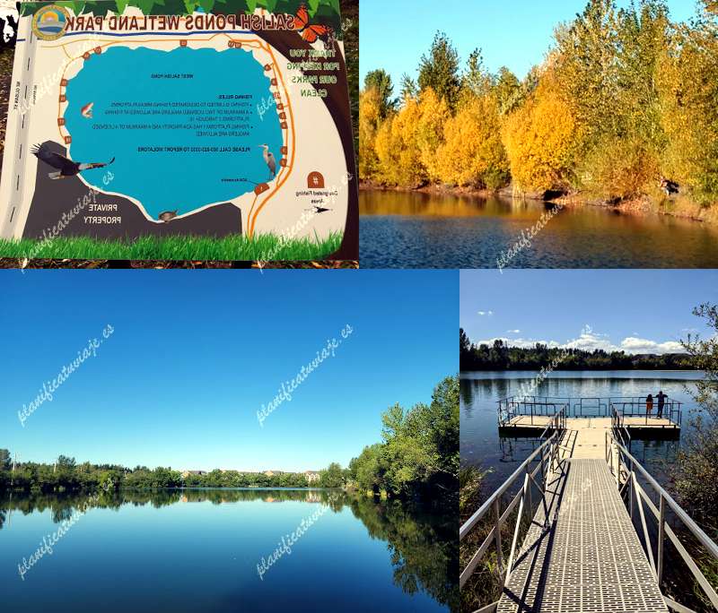 Salish Ponds Wetland Park de Fairview | Horario, Mapa y entradas