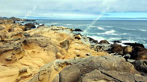 Salt Point State Park