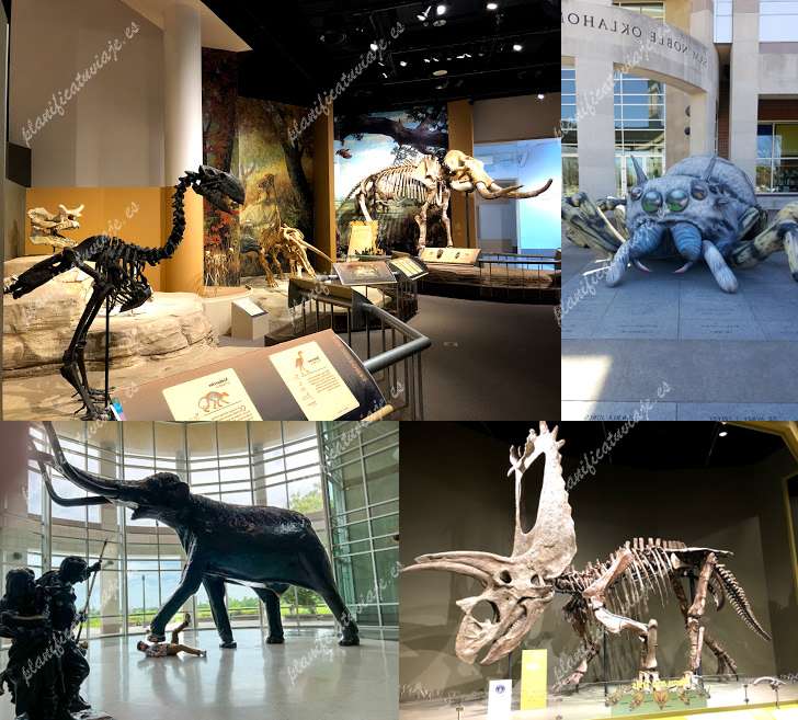 Sam Noble Oklahoma Museum of Natural History de Norman | Horario, Mapa y entradas
