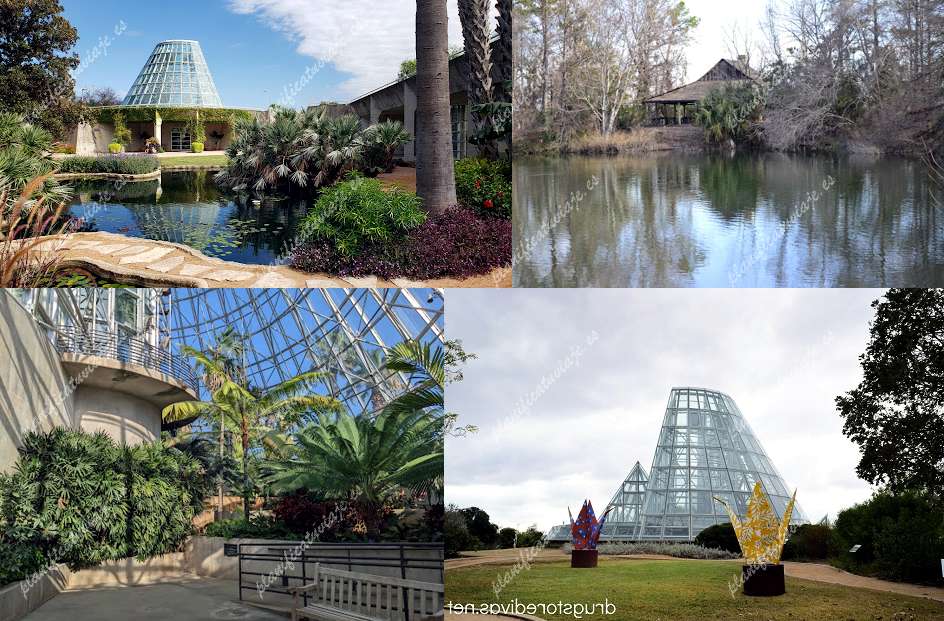 San Antonio Botanical Garden de San Antonio | Horario, Mapa y entradas