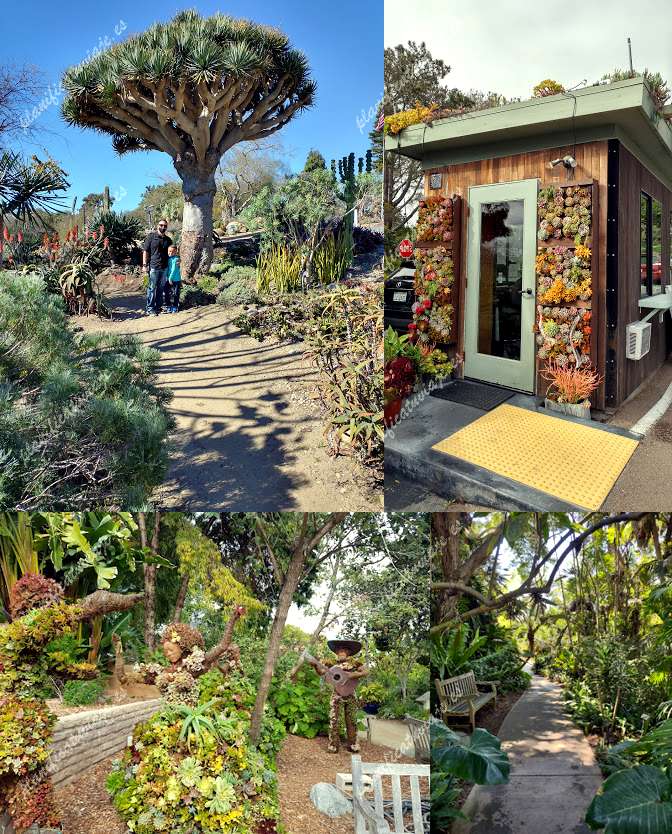San Diego Botanic Garden de Encinitas | Horario, Mapa y entradas