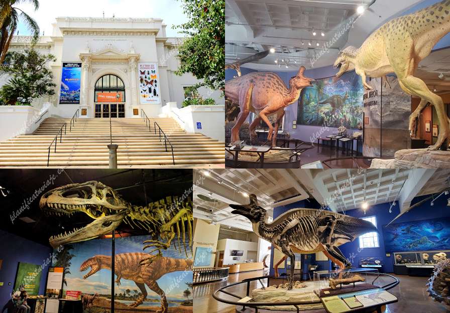 San Diego Natural History Museum de San Diego | Horario, Mapa y entradas