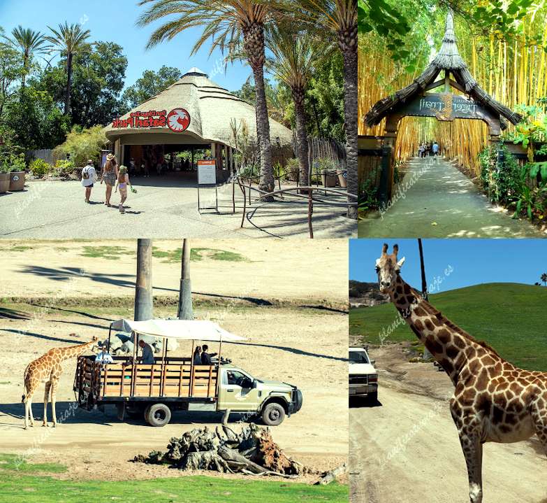 San Diego Zoo Safari Park de Escondido | Horario, Mapa y entradas