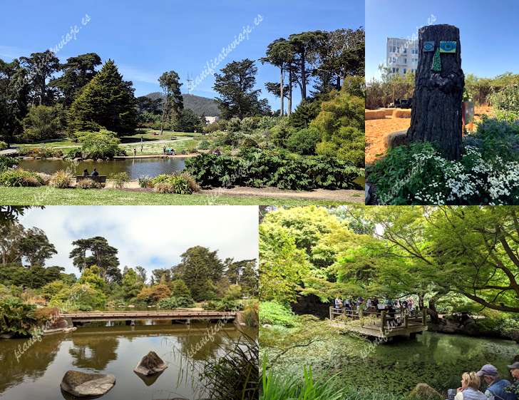 San Francisco Botanical Garden de San Francisco | Horario, Mapa y entradas