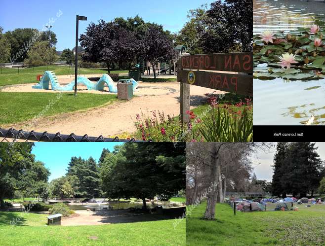 San Lorenzo Park de Santa Cruz | Horario, Mapa y entradas