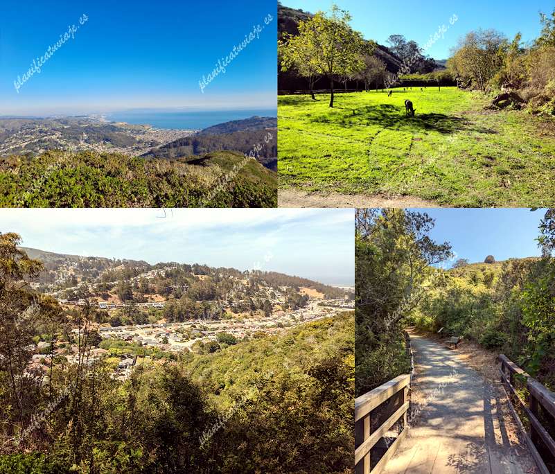 San Pedro Valley Park de Pacifica | Horario, Mapa y entradas