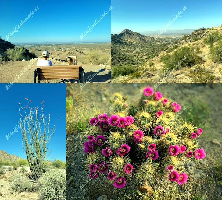 San Tan Mountain Regional Park de Queen Creek | Horario, Mapa y entradas