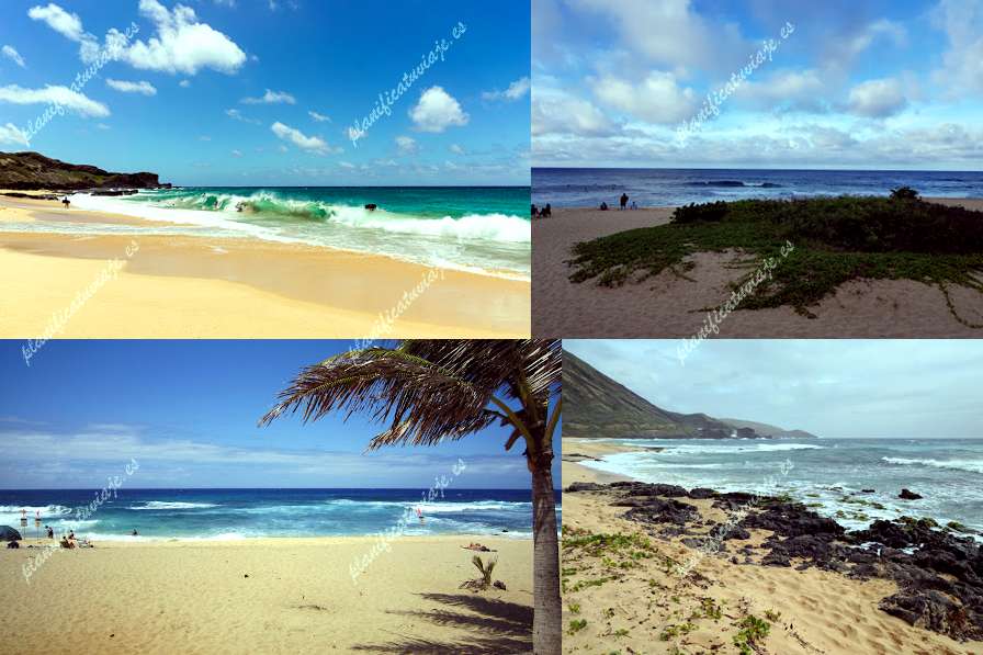 Sandy Beach de Honolulu | Horario, Mapa y entradas 83
