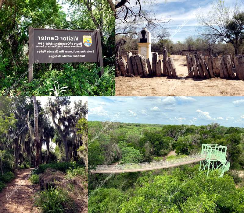 Santa Ana National Wildlife Refuge de Alamo | Horario, Mapa y entradas