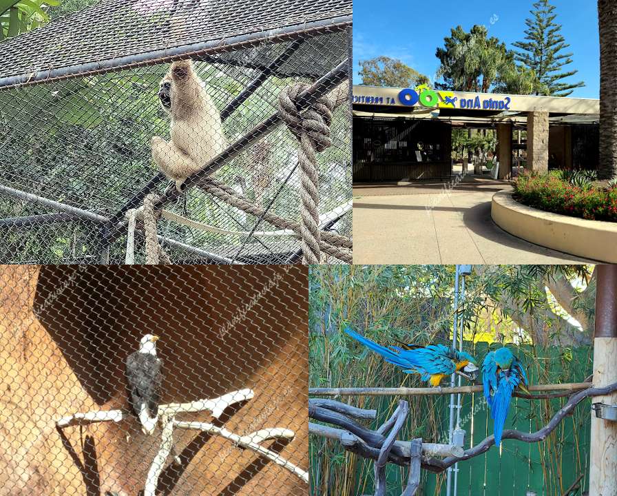Santa Ana Zoo de Santa Ana | Horario, Mapa y entradas