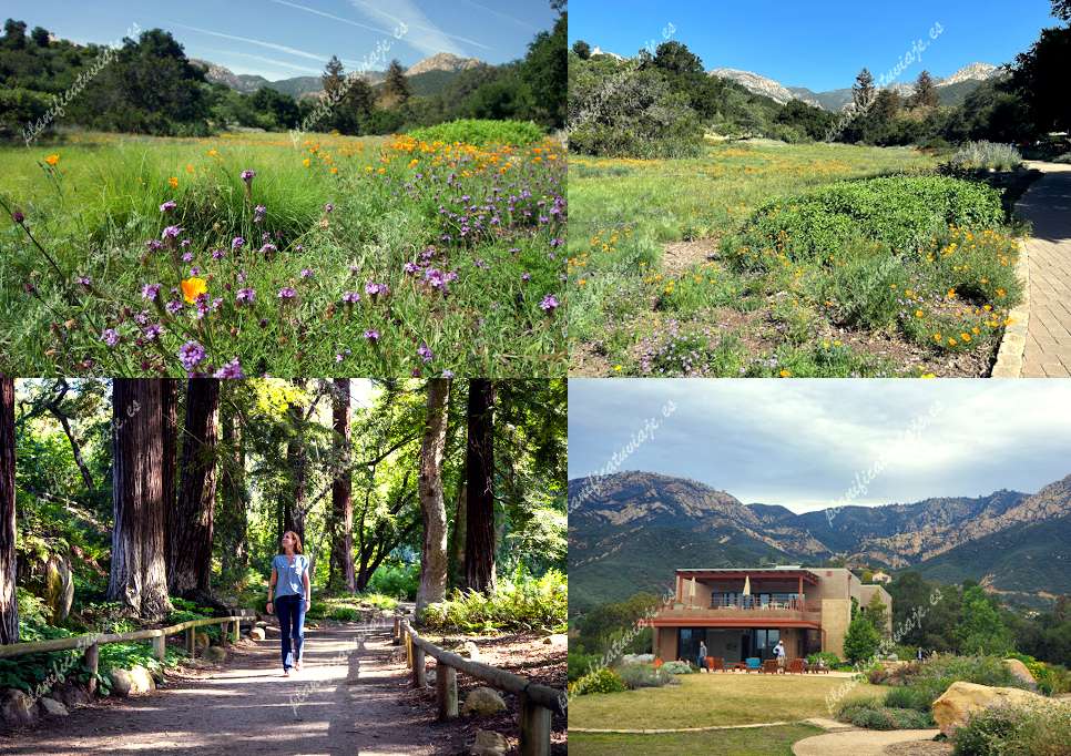 Santa Barbara Botanic Garden de Santa Barbara | Horario, Mapa y entradas