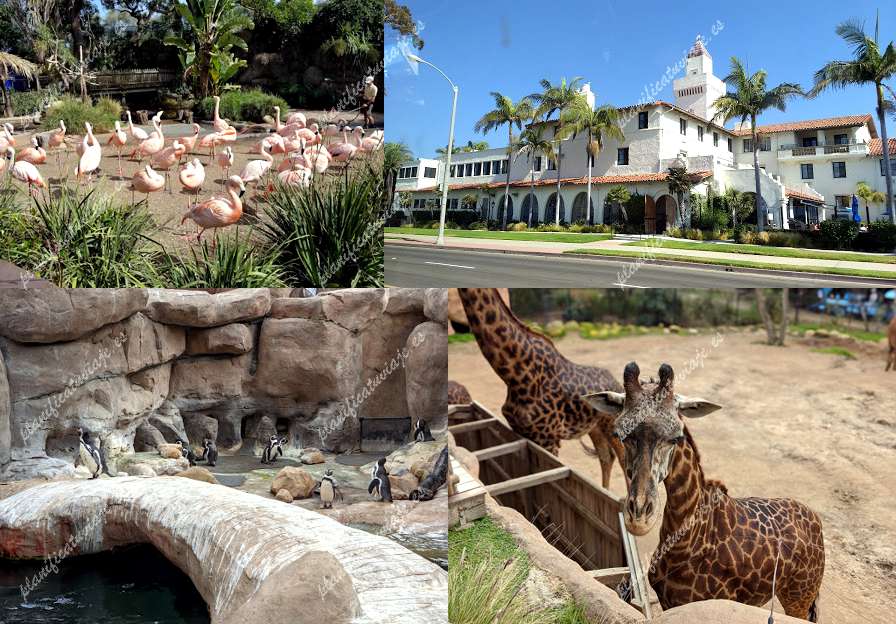 Santa Barbara Zoo de Santa Barbara | Horario, Mapa y entradas