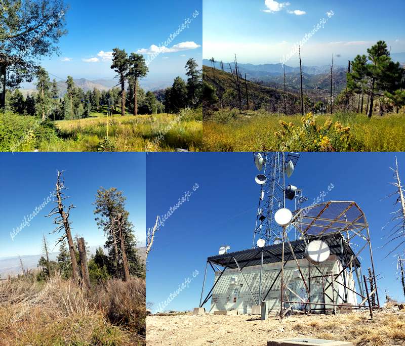 Santa Catalina Natural Area de Mt Lemmon | Horario, Mapa y entradas