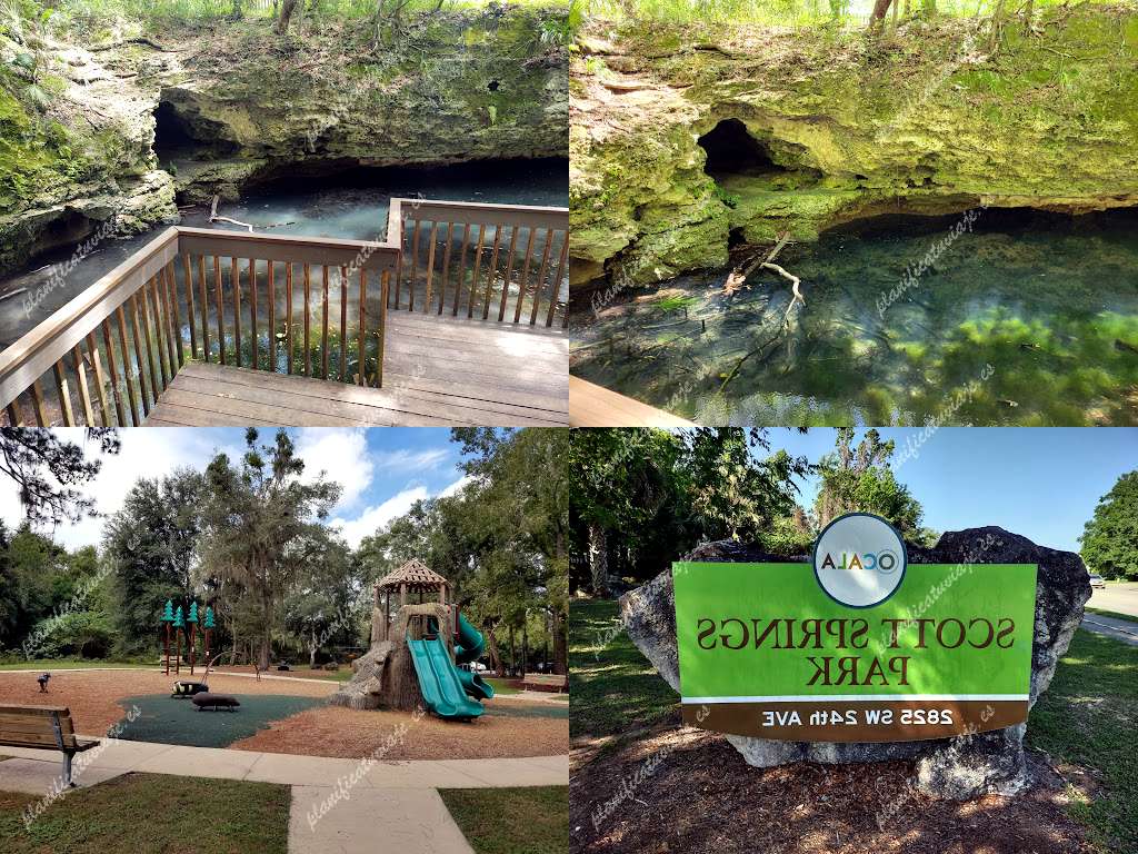 Scott Springs Park de Ocala | Horario, Mapa y entradas