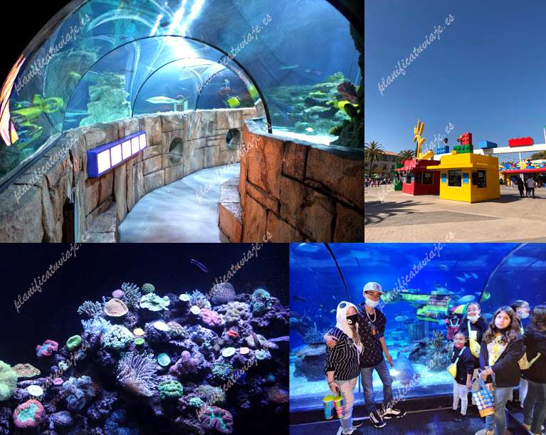 Sea Life Aquarium de Carlsbad | Horario, Mapa y entradas