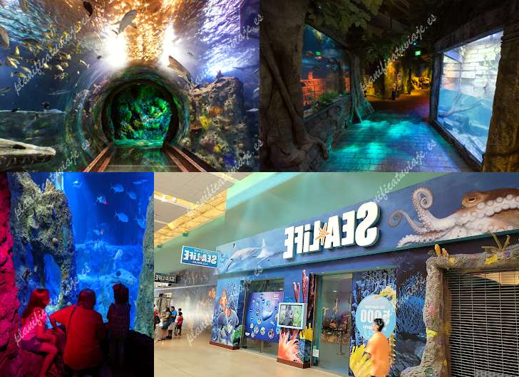 Sea Life Grapevine Aquarium de Grapevine | Horario, Mapa y entradas