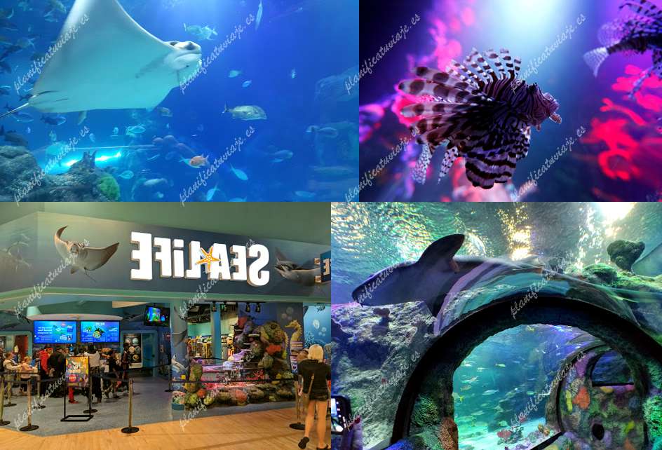 SEA LIFE Michigan Aquarium de Auburn Hills | Horario, Mapa y entradas