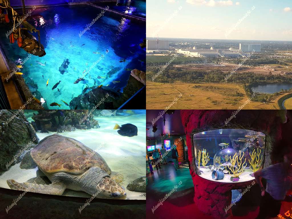 Sea Life Orlando Aquarium de Orlando | Horario, Mapa y entradas