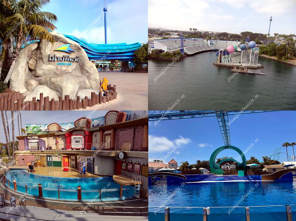 3 formas de pasar un d a en San - Seaworld San Diego Img 2