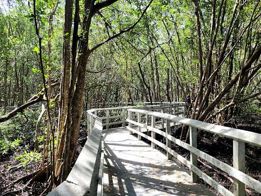 Secret Woods Nature Center de Fort Lauderdale | Horario, Mapa y entradas