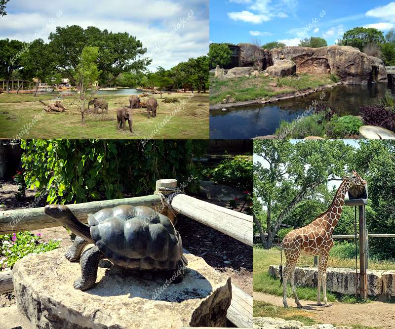 Sedgwick County Zoo de Wichita | Horario, Mapa y entradas